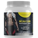 EXVital BCAA 1100 Maximum Caps, Aminosäure, 300 Kapseln in Spitzenqualität, mit Vitamin B6, 1er Pack (1 x 384g)