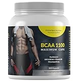 EXVital BCAA 1100 Maximum Caps, Aminosäure, 300 Kapseln in Spitzenqualität, mit Vitamin B6, 1er Pack (1 x 384g)