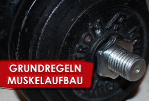 Die Grundregeln des Muskelaufbaus