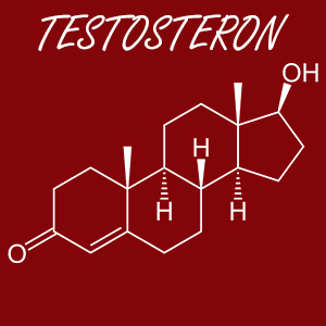 Den Testosteronspiegel erhöhen