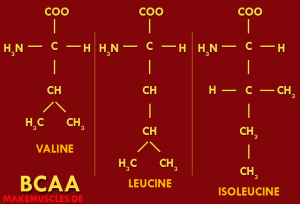 Was sind BCAA´s?