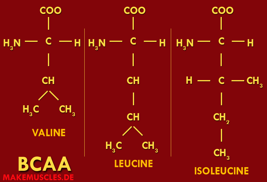 Was sind BCAA´s?