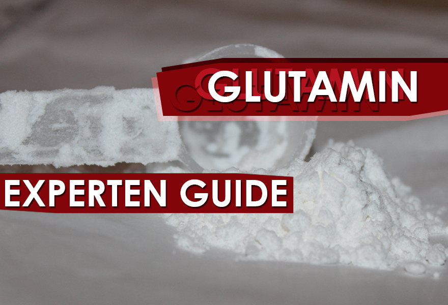 Experten Guide - Glutamin