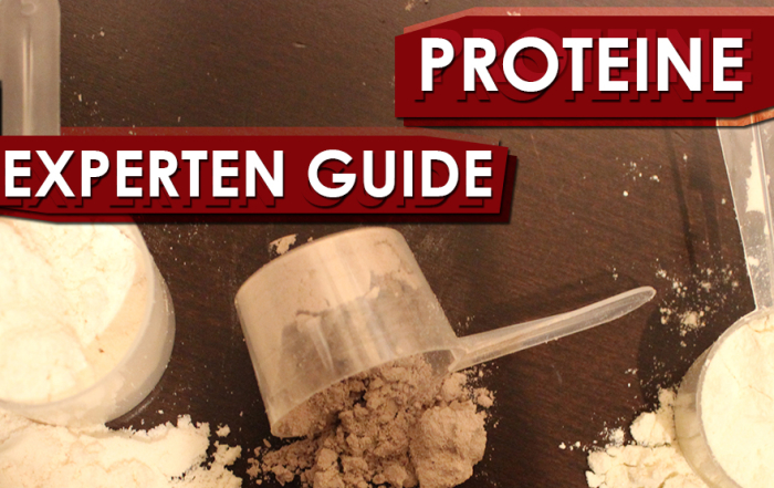 Experten Guide - Proteine