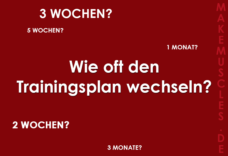 Wie oft den Trainingsplan wechseln?