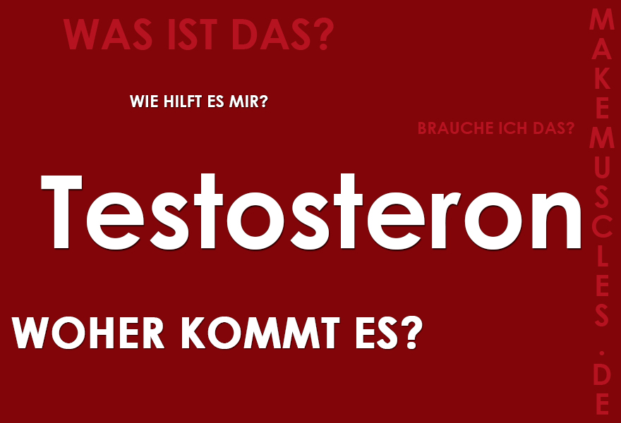 Hilft Testosteron beim Muskelaufbau?