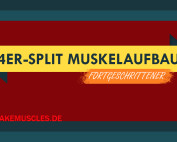 4er-Split Muskelaufbau: Kraftzuwachs und größere Muskeln