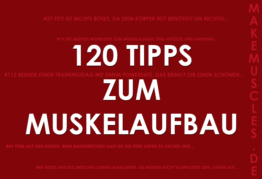 MUSKELAUFBAU TIPPS: 120 Tipps zum Muskelaufbau