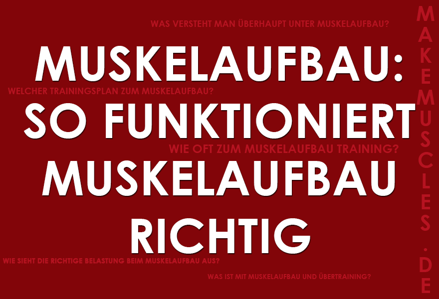 Muskelaufbau und wie er funktioniert