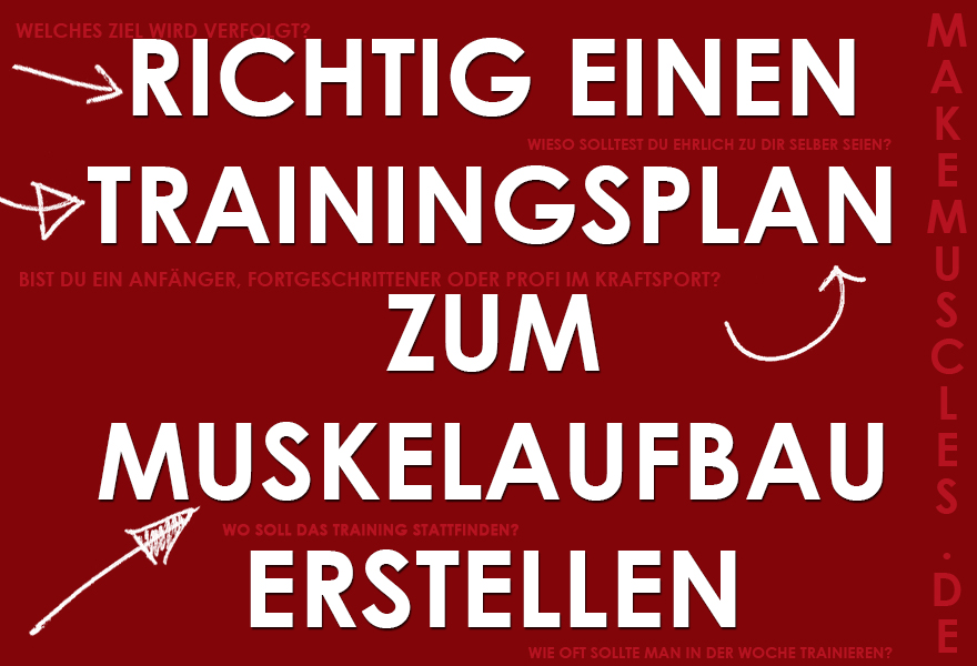 Richtig einen Trainingsplan zum Muskelaufbau erstellen