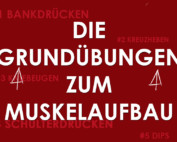 Die Grundübungen zum Muskelaufbau