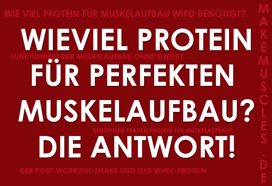 Wieviel protein für perfekten Muskelaufbau? Die Antwort!