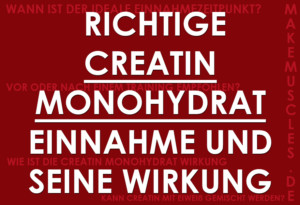 Richtige Creatin Monohydrat Einnahme und seine Wirkung