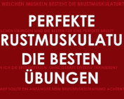 Übungen für Brustmuskulatur