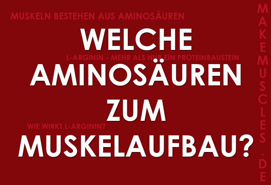 Aminosäuren zum Muskelaufbau