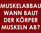 Wann beginnt der Muskelabbau?