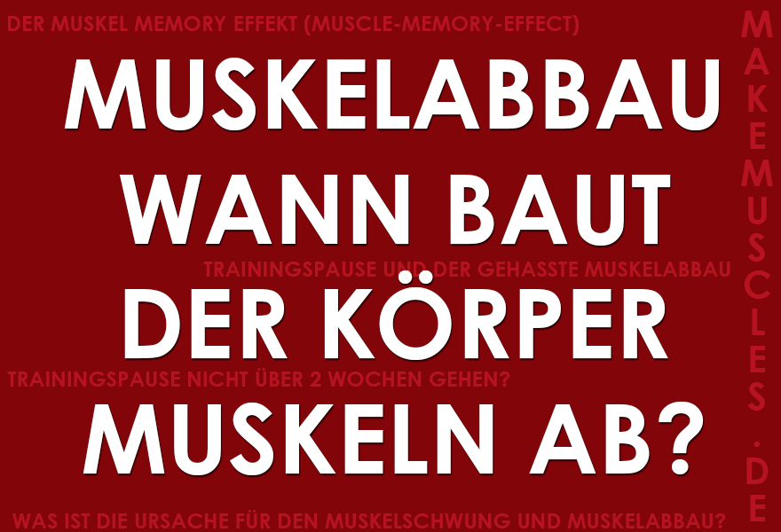 Wann beginnt der Muskelabbau?
