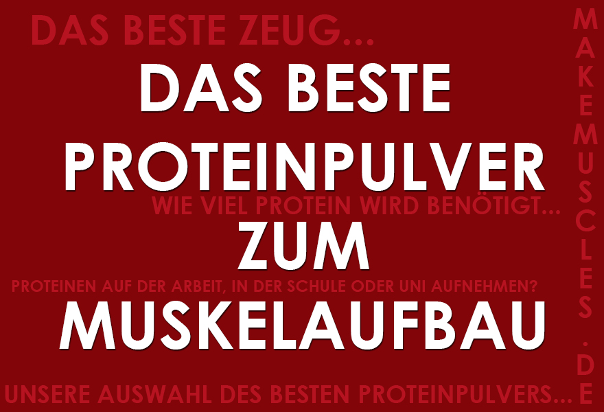 Das beste Proteinpulver