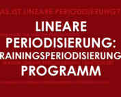 Lineare Periodisierung