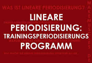 Lineare Periodisierung