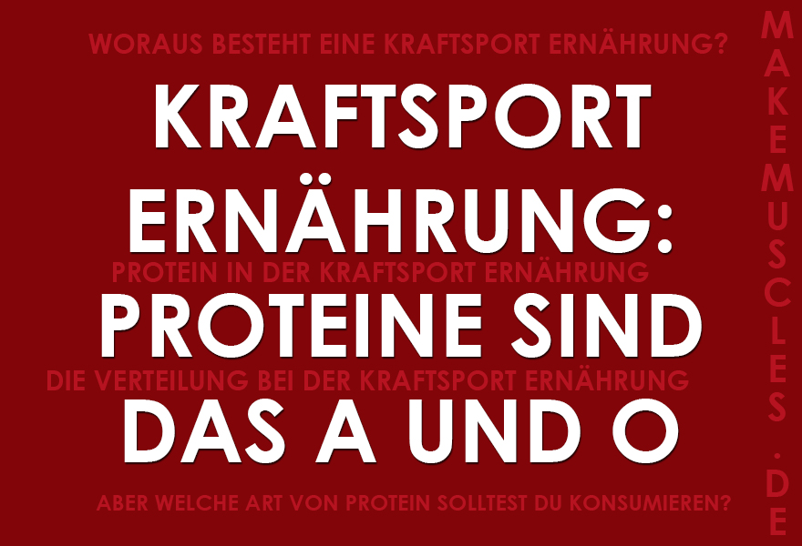 Kraftsport Ernährung: Proteine sind das A und O