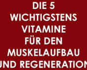 Die 5 wichtigstens Vitamine für den Muskelaufbau und Regeneration