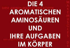 Die 4 aromatischen Aminosaeuren und ihre Aufgaben im Koerper